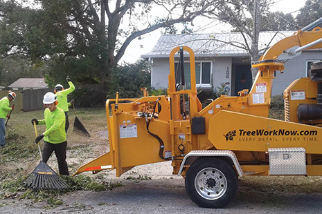 Orlando's Tree Service